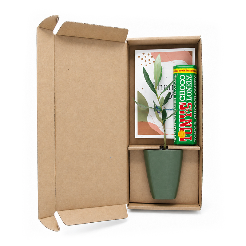 Cadeau arbre avec chocolat